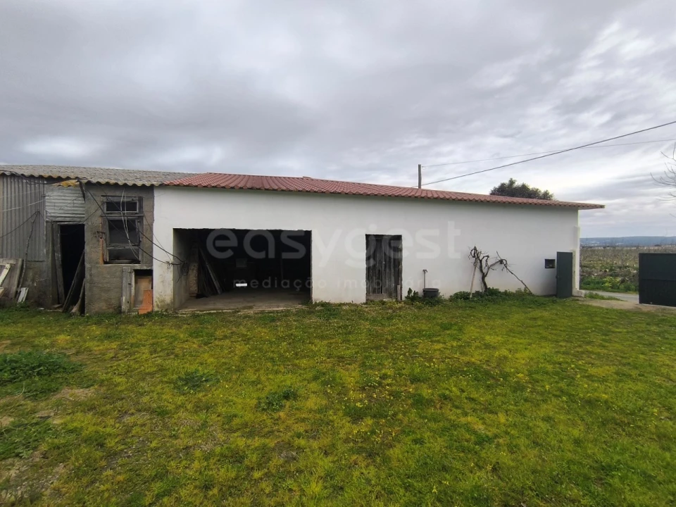 Quinta T2 para Venda em Golegã Foto 15