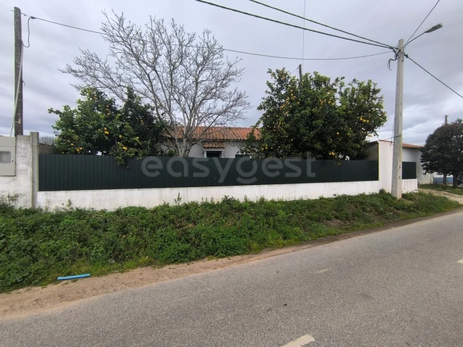 Quinta T2 para Venda em Golegã Foto 4