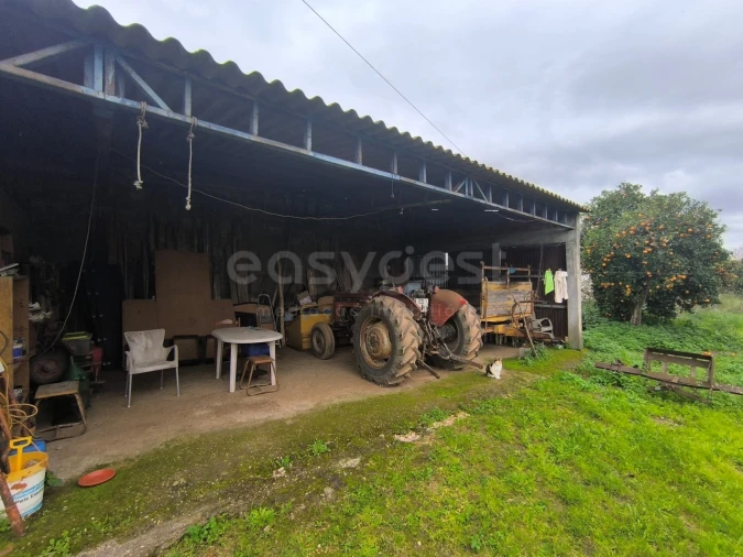 Quinta T2 para Venda em Golegã Foto 2