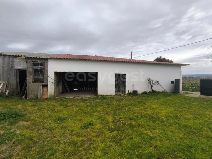 Quinta T2 para Venda em Golegã Foto 15