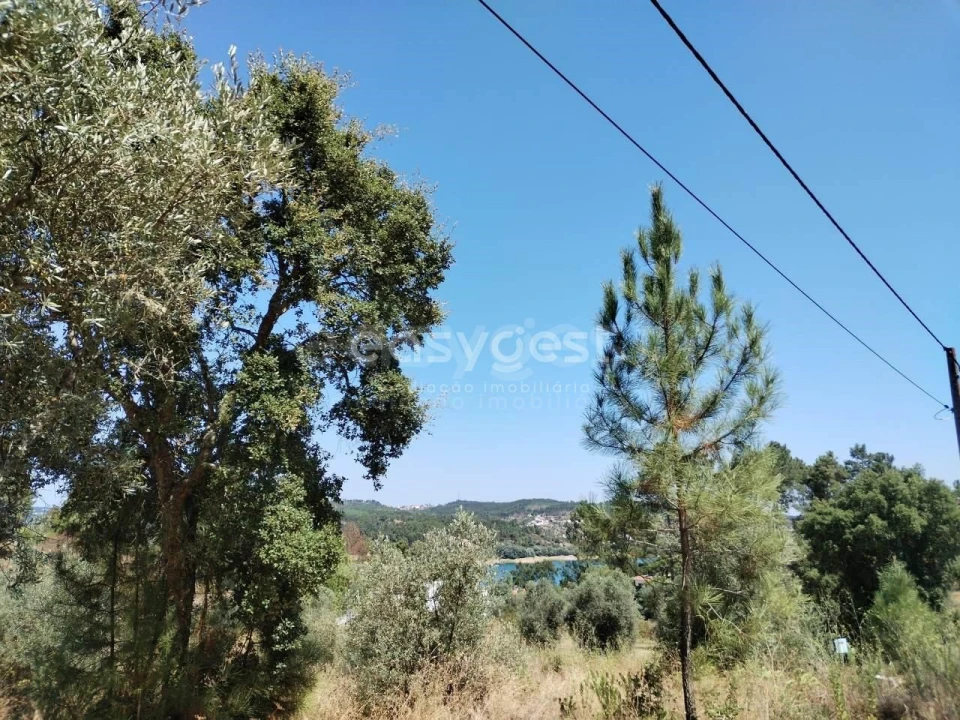 Terreno para Venda em Serra e Junceira Foto 12