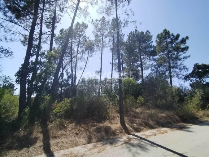 Terreno para Venda em Serra e Junceira Foto 1