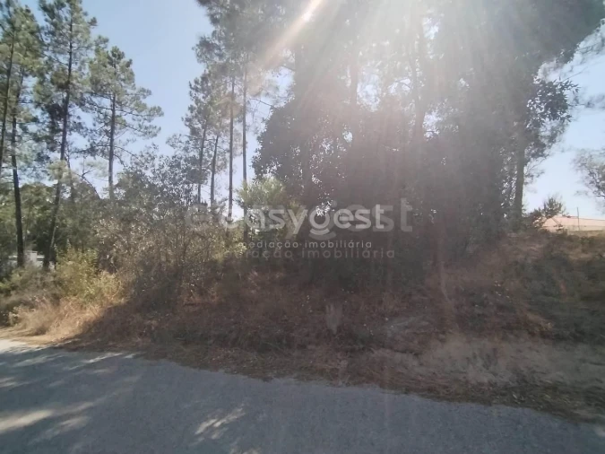 Terreno para Venda em Serra e Junceira Foto 7