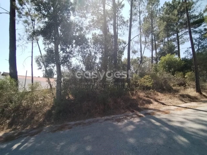 Terreno para Venda em Serra e Junceira Foto 10