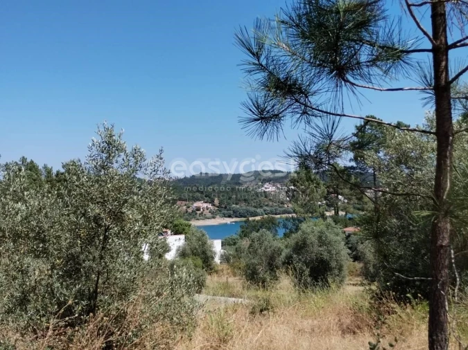 Terreno para Venda em Serra e Junceira Foto 13