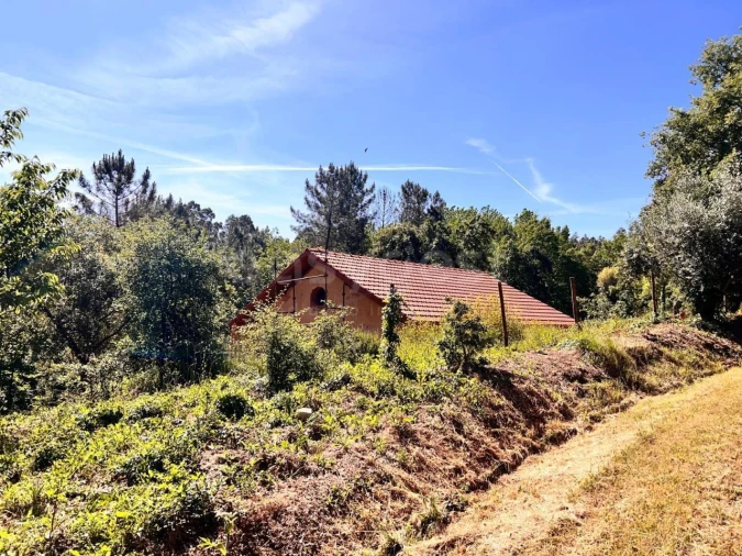 Moradia T1 para Venda em Alvaiázere Foto 3