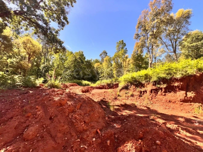 Moradia T1 para Venda em Alvaiázere Foto 11