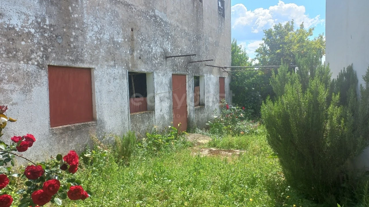 Moradia T1 para Venda em Pernes Foto 18