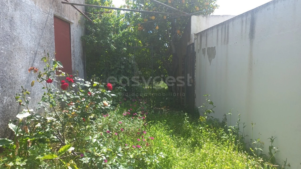 Moradia T1 para Venda em Pernes Foto 19