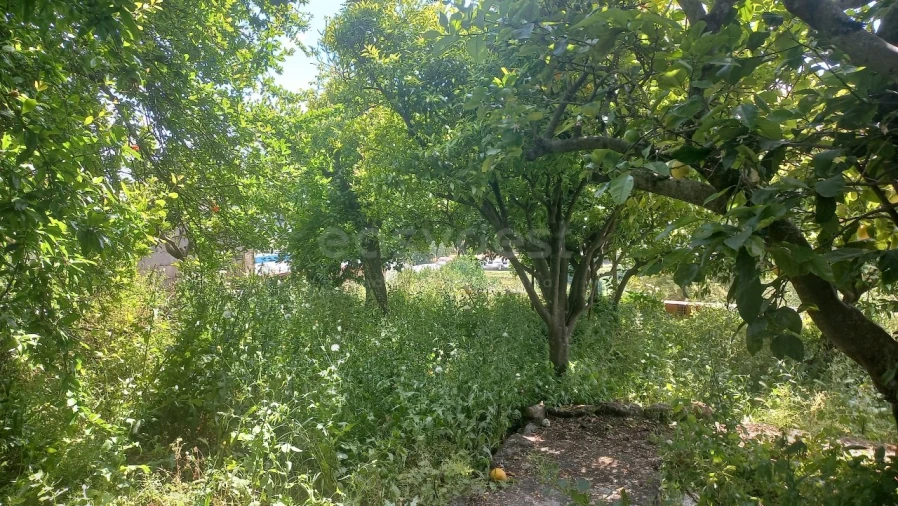 Moradia T1 para Venda em Pernes Foto 20