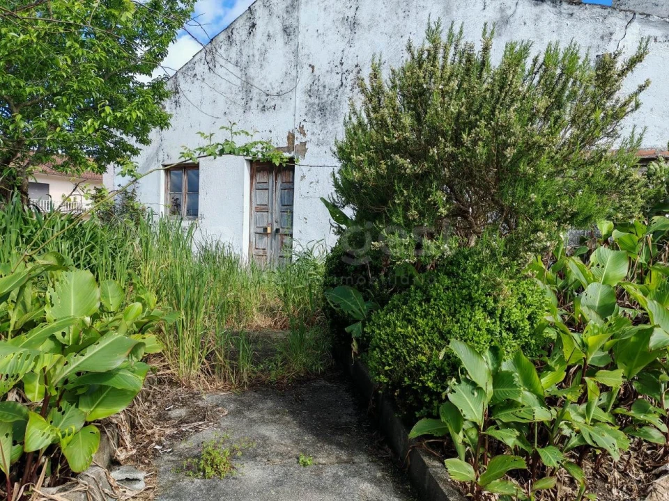 Moradia T3 para Venda em Areias e Pias Foto 7