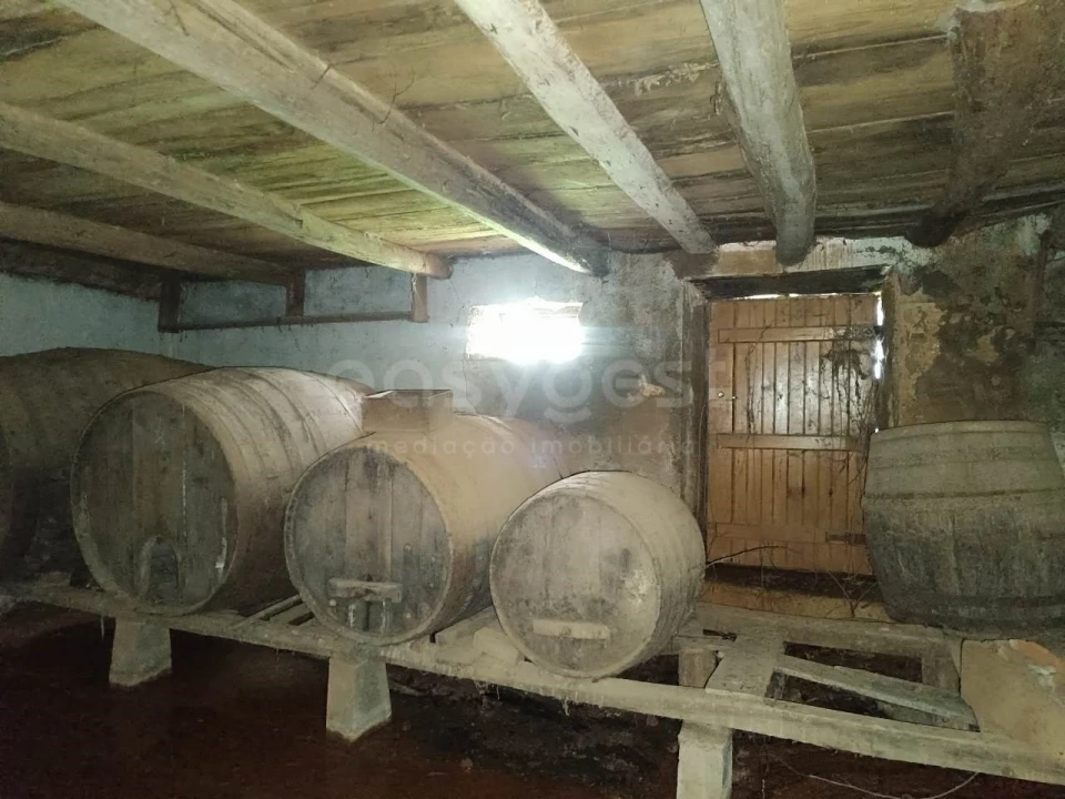 Moradia T3 para Venda em Areias e Pias Foto 30