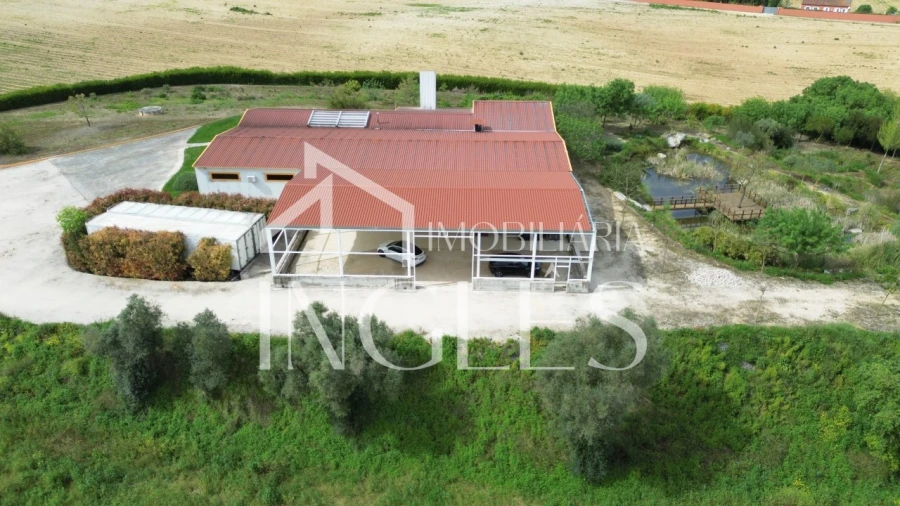 Armazém para Venda em Almoster Foto 5