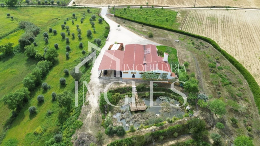 Armazém para Venda em Almoster Foto 2