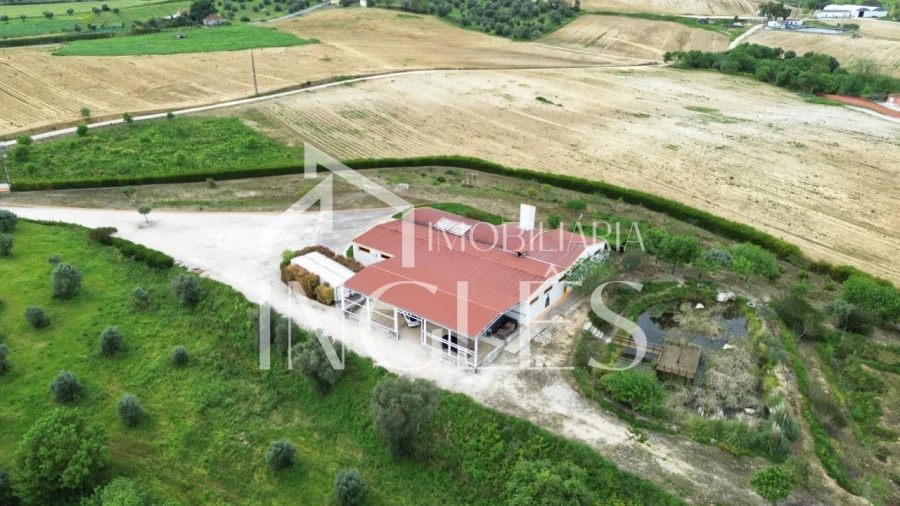 Armazém para Venda em Almoster Foto 4