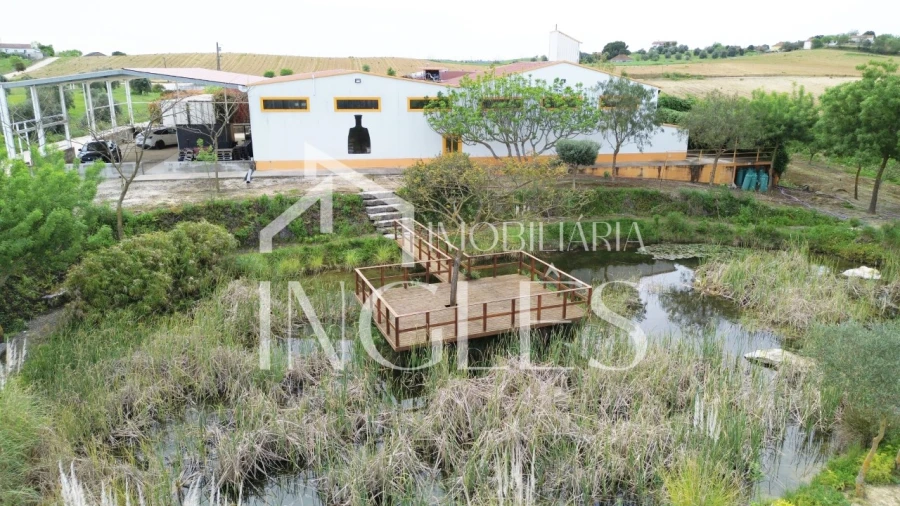 Armazém para Venda em Almoster Foto 6