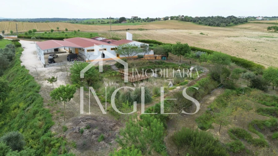 Armazém para Venda em Almoster Foto 7