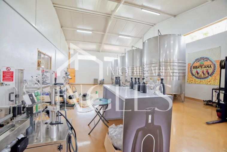 Armazém para Venda em Almoster Foto 29