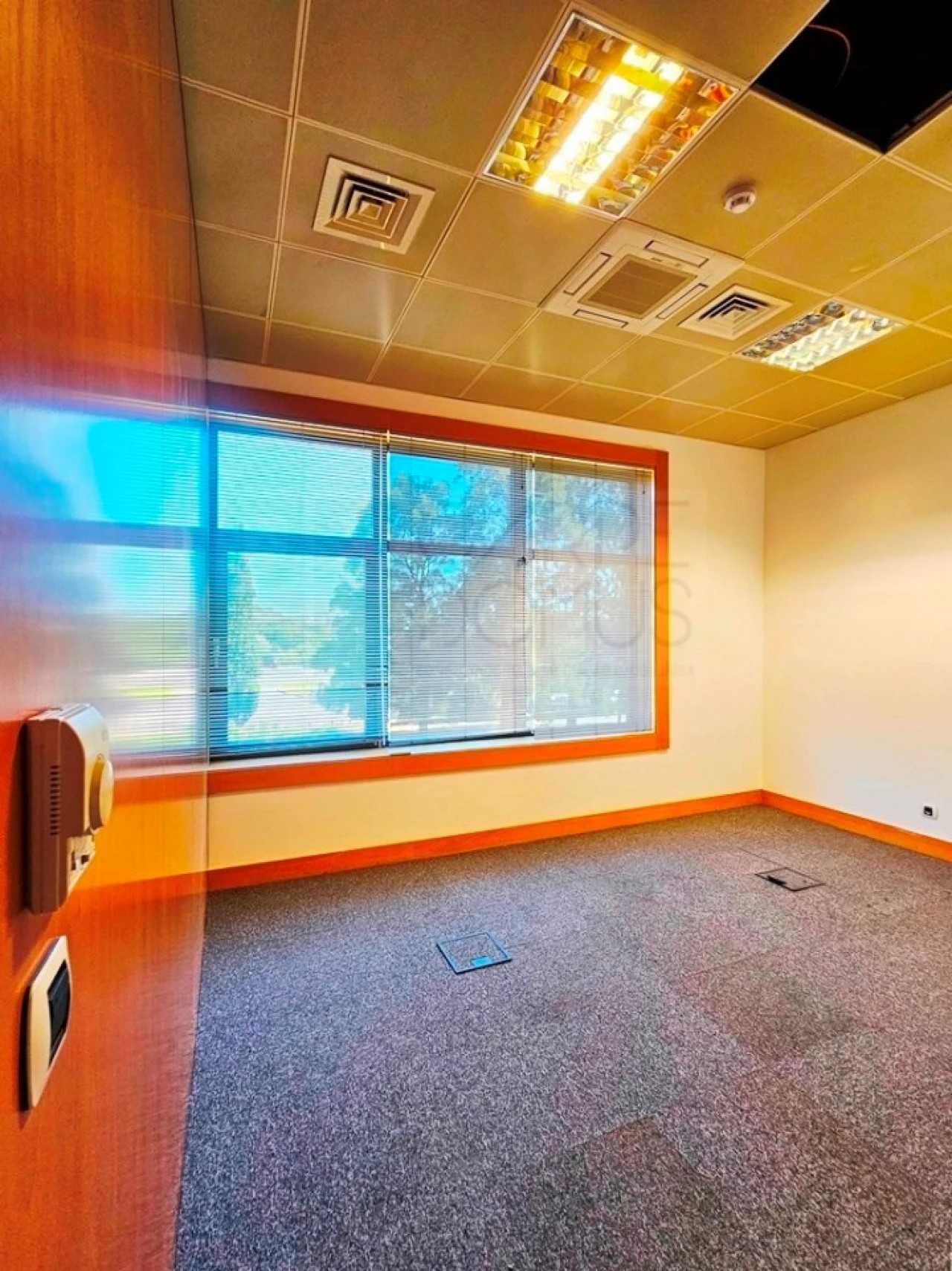 Escritório para Venda em Santa Maria e São Miguel, São Martinho, São Pedro Penaferrim Foto 22