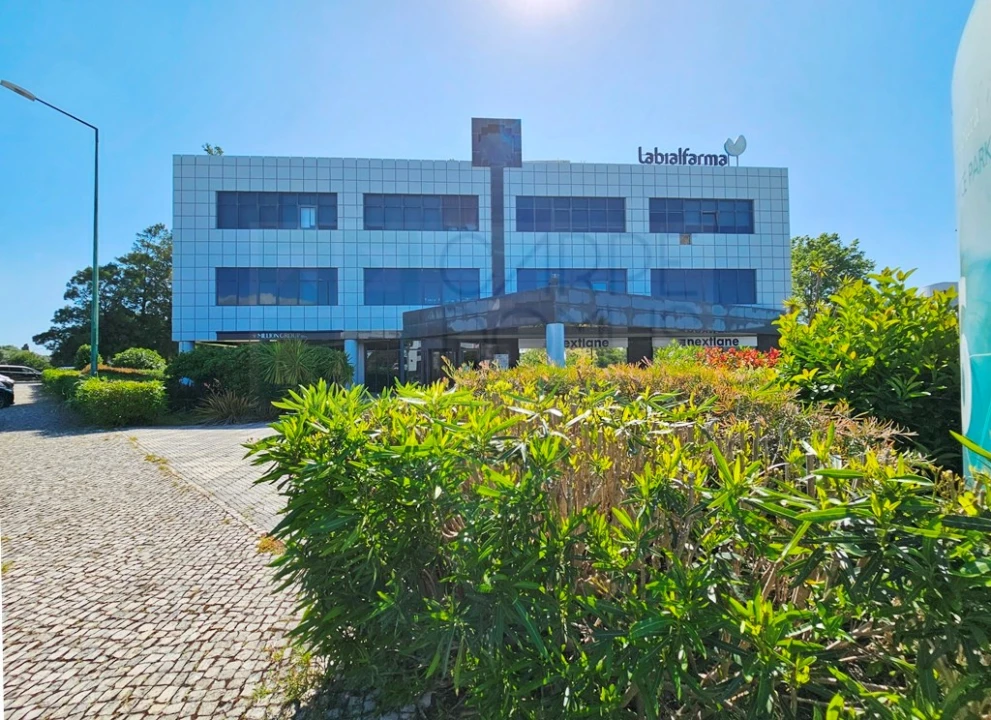 Escritório para Venda em Santa Maria e São Miguel, São Martinho, São Pedro Penaferrim Foto 60
