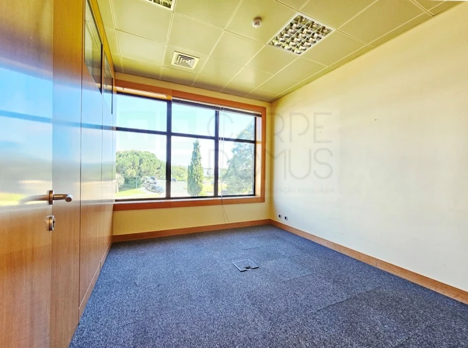 Escritório para Venda em Santa Maria e São Miguel, São Martinho, São Pedro Penaferrim Foto 14