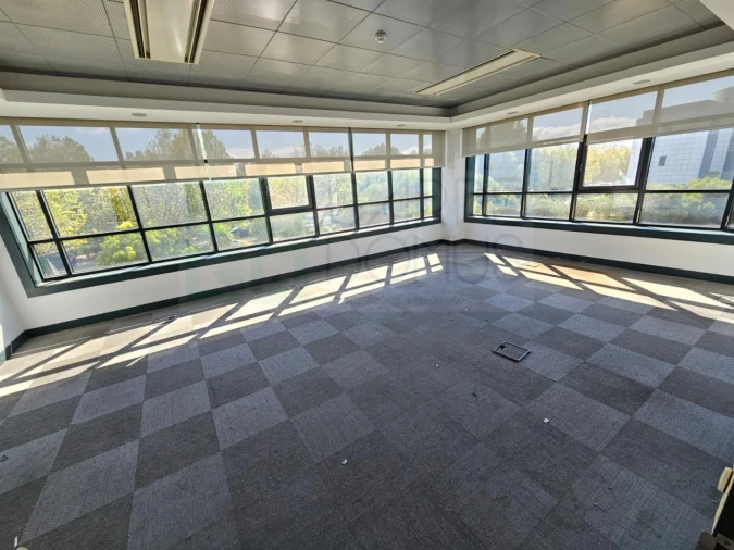 Escritório para Venda em Santa Maria e São Miguel, São Martinho, São Pedro Penaferrim Foto 48