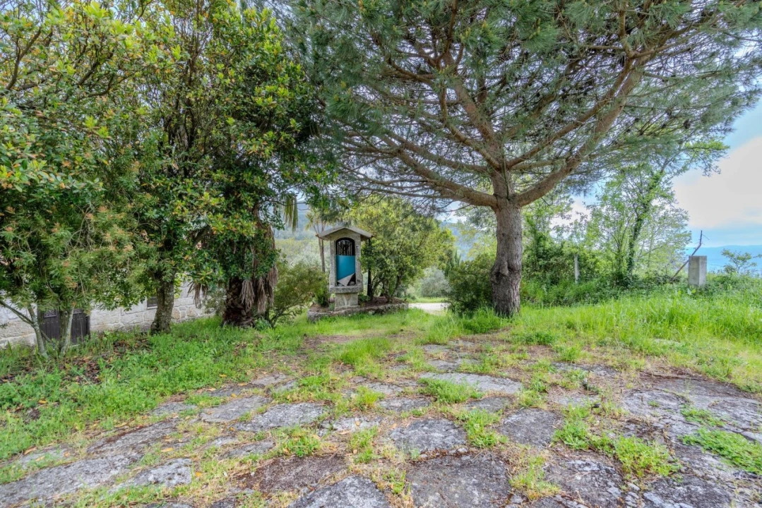 Quinta T4 para Venda em Felgueiras e Feirão Foto 32