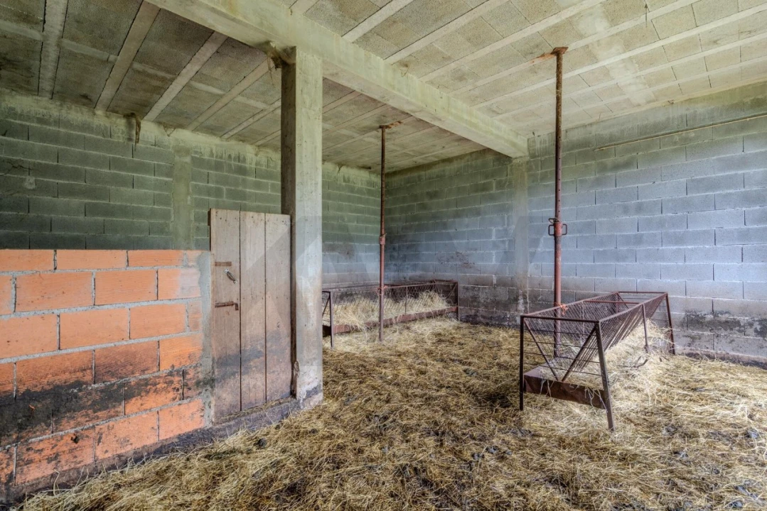 Quinta T4 para Venda em Felgueiras e Feirão Foto 45