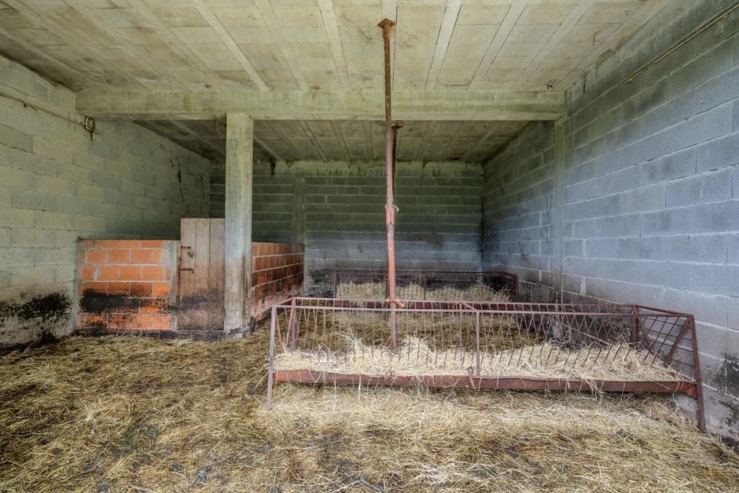 Quinta T4 para Venda em Felgueiras e Feirão Foto 46