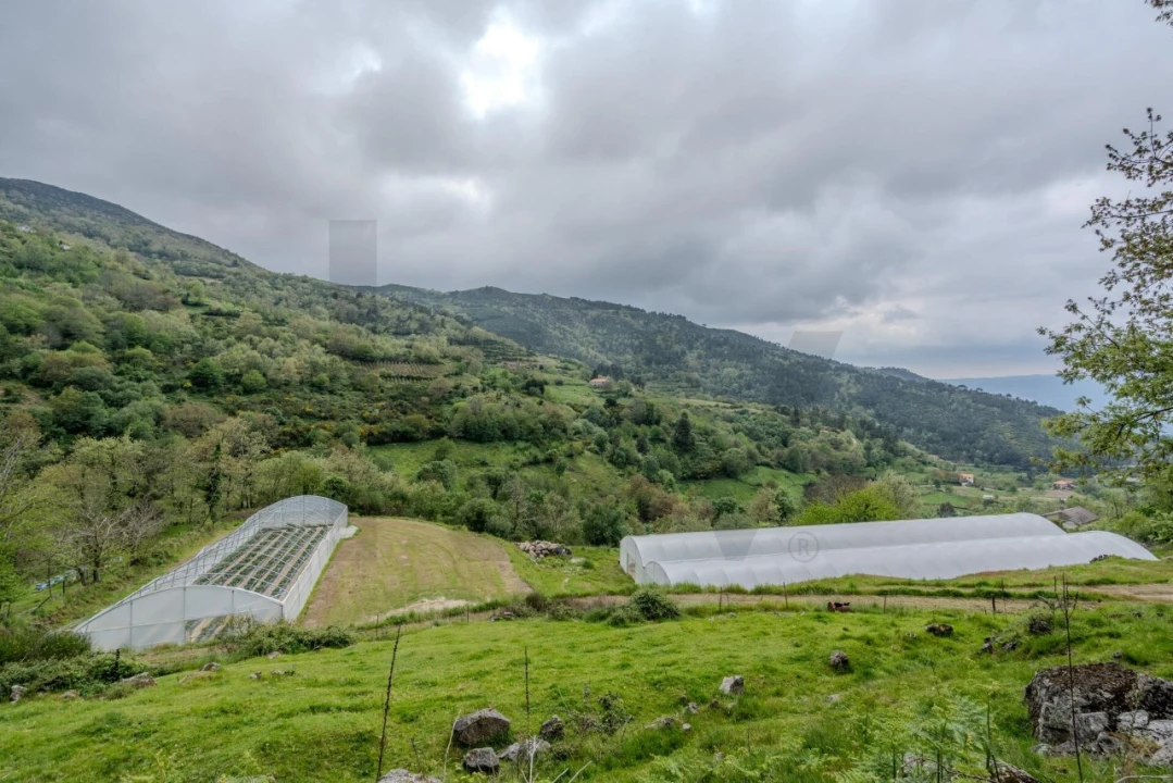 Quinta T4 para Venda em Felgueiras e Feirão Foto 52