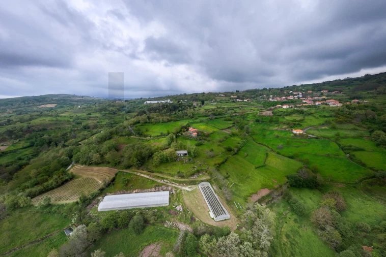 Quinta T4 para Venda em Felgueiras e Feirão Foto 53