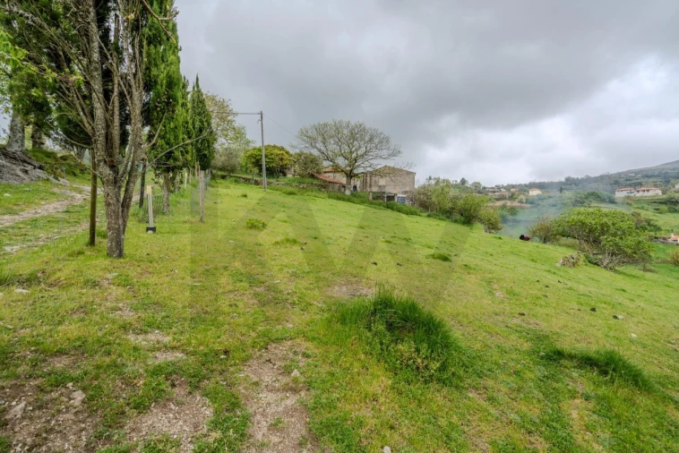 Quinta T4 para Venda em Felgueiras e Feirão Foto 54