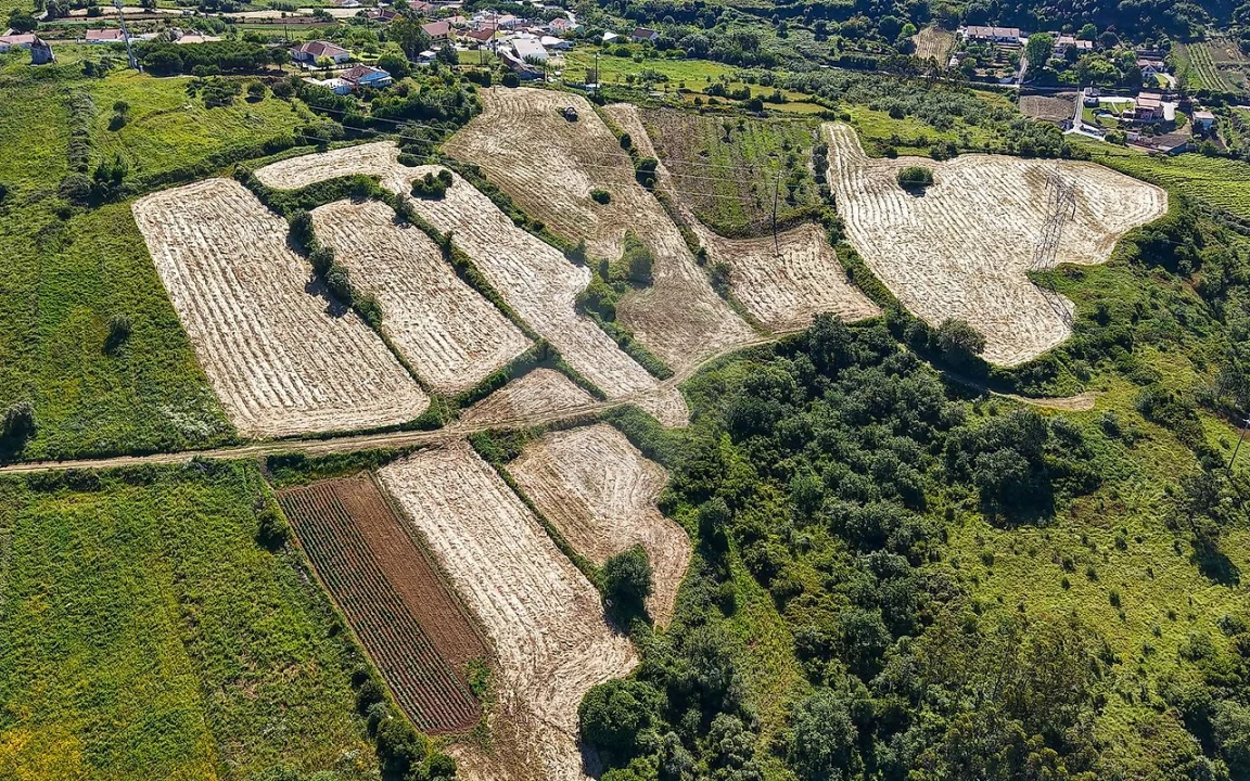 Terreno para Venda em Santo Quintino Foto 11