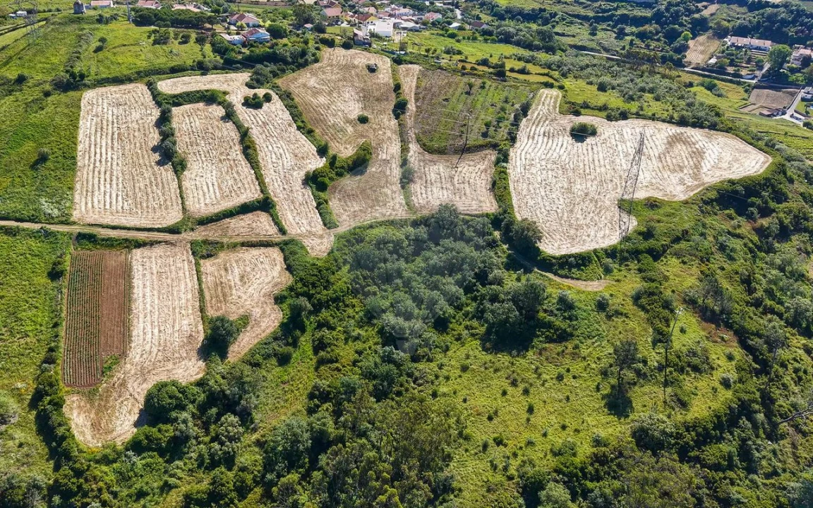 Terreno para Venda em Santo Quintino Foto 13