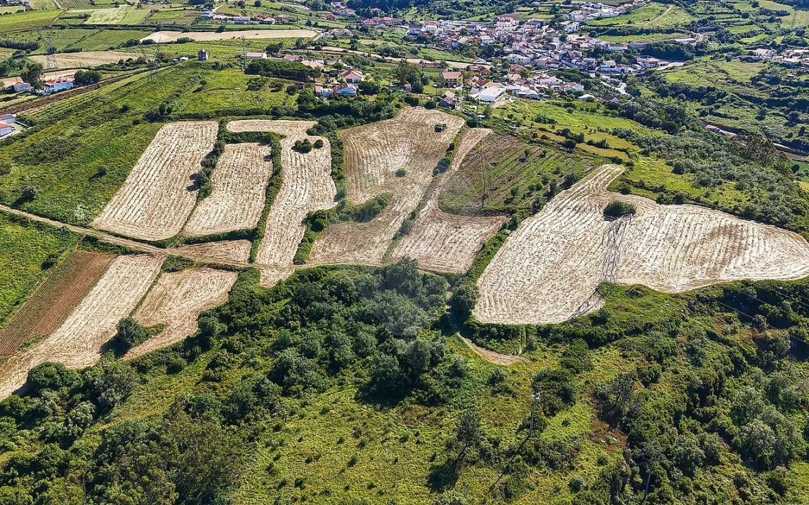 Terreno para Venda em Santo Quintino Foto 15