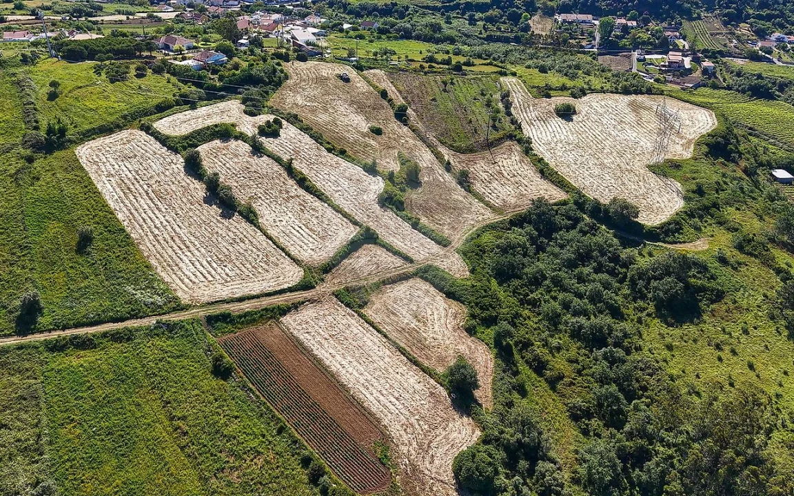 Terreno para Venda em Santo Quintino Foto 22