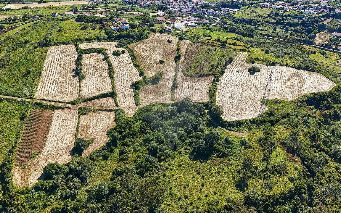 Terreno para Venda em Santo Quintino Foto 14