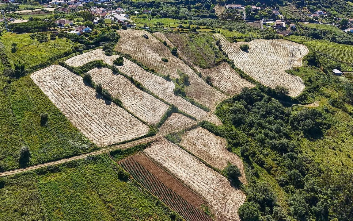Terreno para Venda em Santo Quintino Foto 21