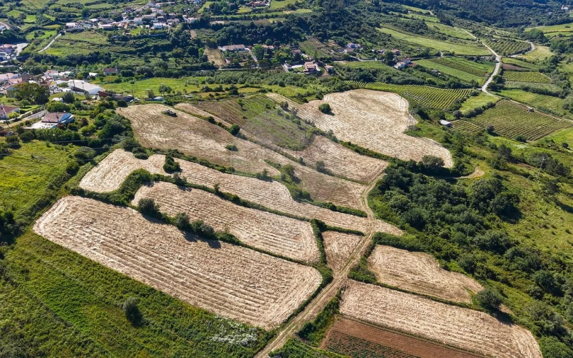 Terreno para Venda em Santo Quintino Foto 19