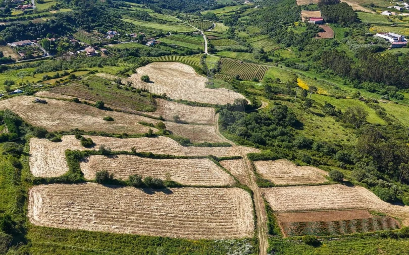 Terreno para Venda em Santo Quintino Foto 18