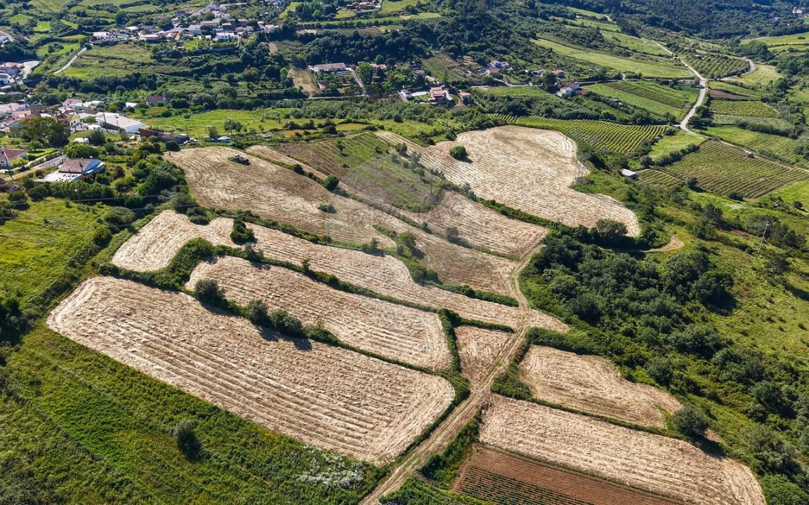 Terreno para Venda em Santo Quintino Foto 19