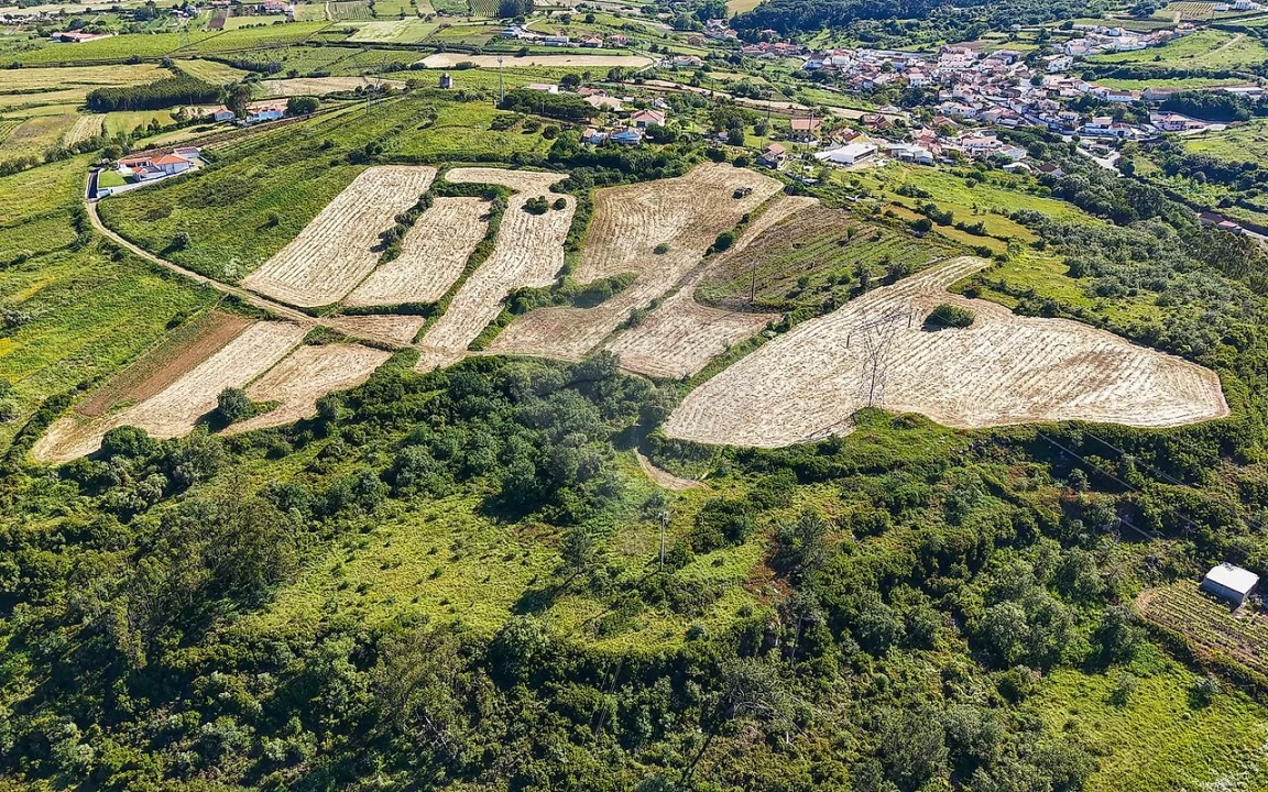 Terreno para Venda em Santo Quintino Foto 17