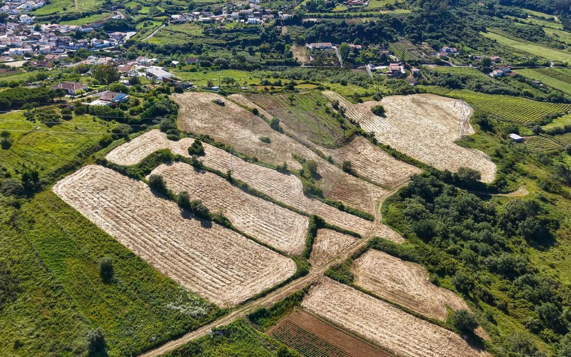 Terreno para Venda em Santo Quintino Foto 20