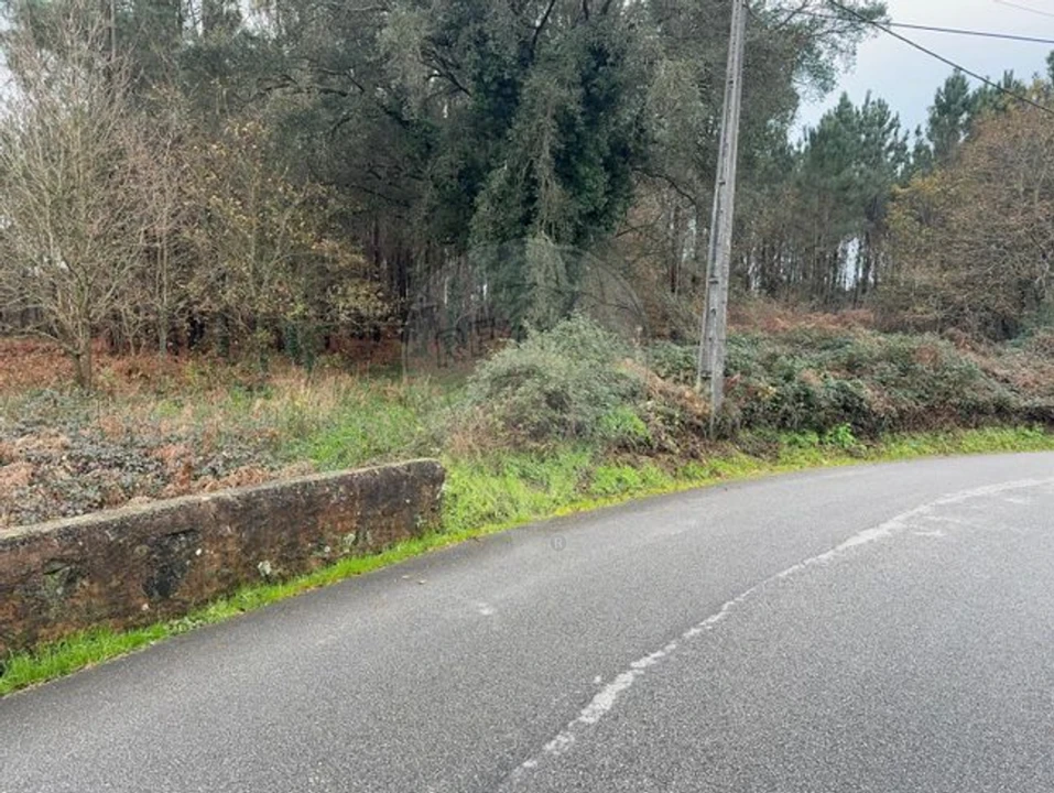 Terreno para Venda em Carregosa Foto 1