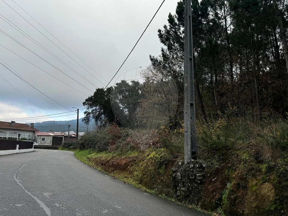 Terreno para Venda em Carregosa Foto 2