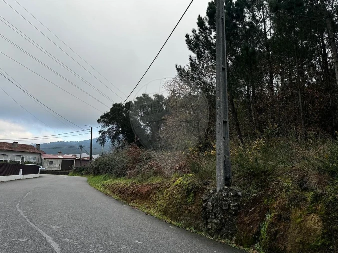 Terreno para Venda em Carregosa Foto 2