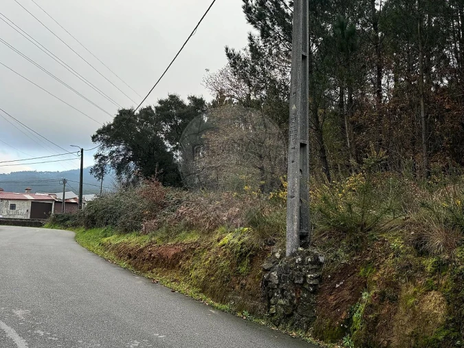 Terreno para Venda em Carregosa Foto 3