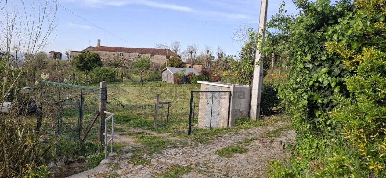 Terreno para Venda em Várzea, Aliviada e Folhada Foto 2