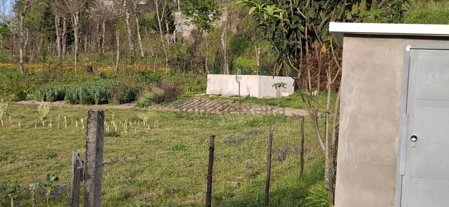 Terreno para Venda em Várzea, Aliviada e Folhada Foto 5