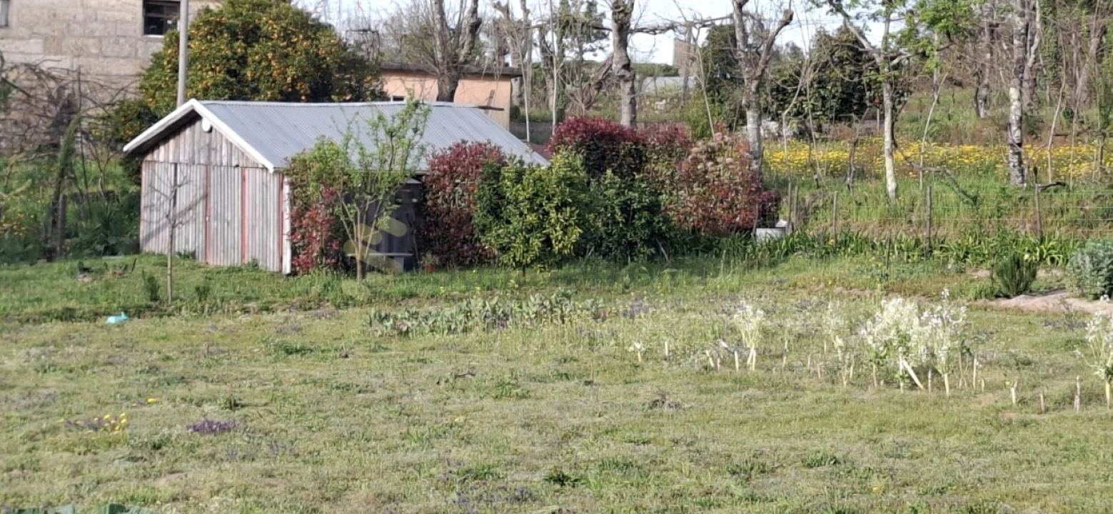 Terreno para Venda em Várzea, Aliviada e Folhada Foto 3
